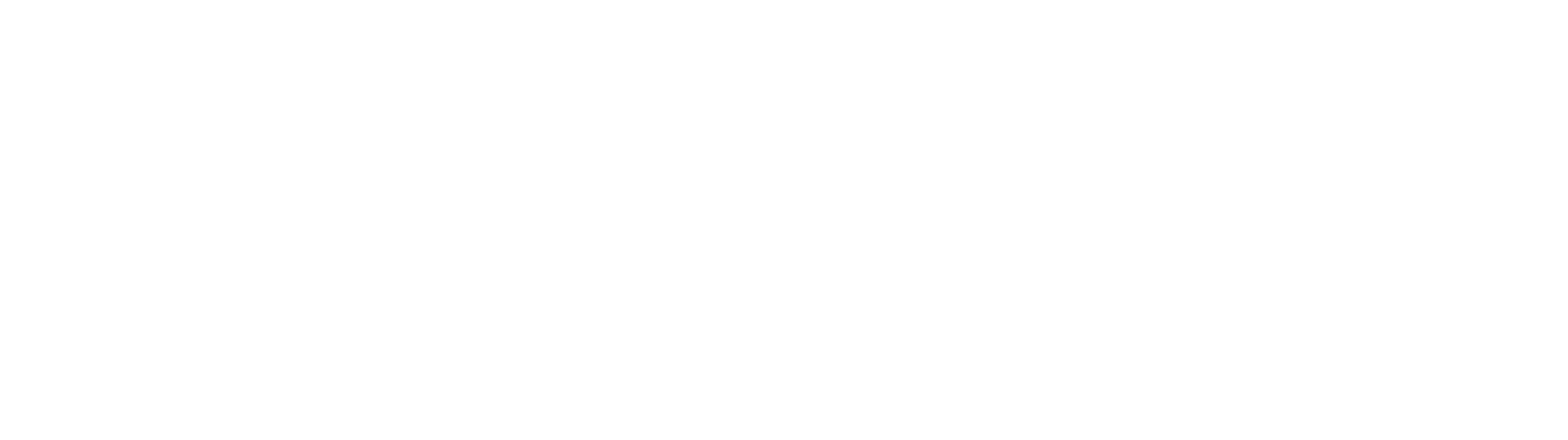 Digima Logo Blanc noir